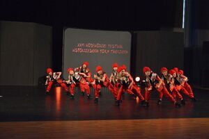 Wólka’n z kolejnymi sukcesami podczas XXVI Wojewódzkiego Festiwalu Współczesnych Form Tanecznych w Puławach