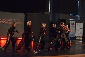 Wólka’n z kolejnymi sukcesami podczas XXVI Wojewódzkiego Festiwalu Współczesnych Form Tanecznych w Puławach