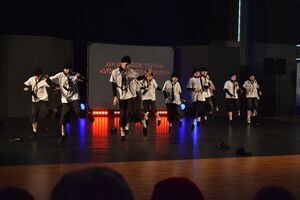 Wólka’n z kolejnymi sukcesami podczas XXVI Wojewódzkiego Festiwalu Współczesnych Form Tanecznych w Puławach