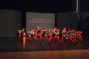Wólka’n z kolejnymi sukcesami podczas XXVI Wojewódzkiego Festiwalu Współczesnych Form Tanecznych w Puławach