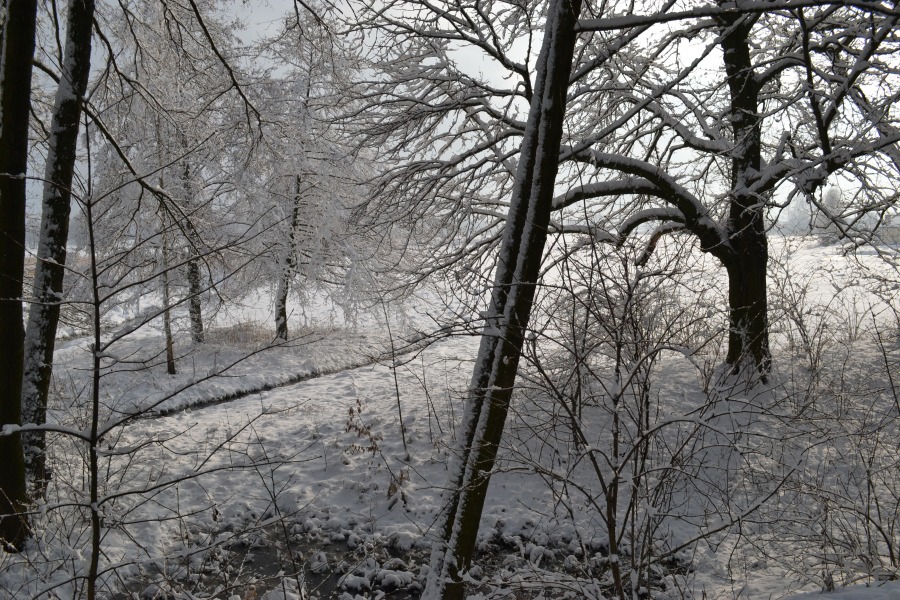 
                                                       Gmina Kamionka zimą
                                                