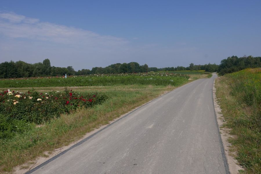 droga w miejscowości Zbędowice