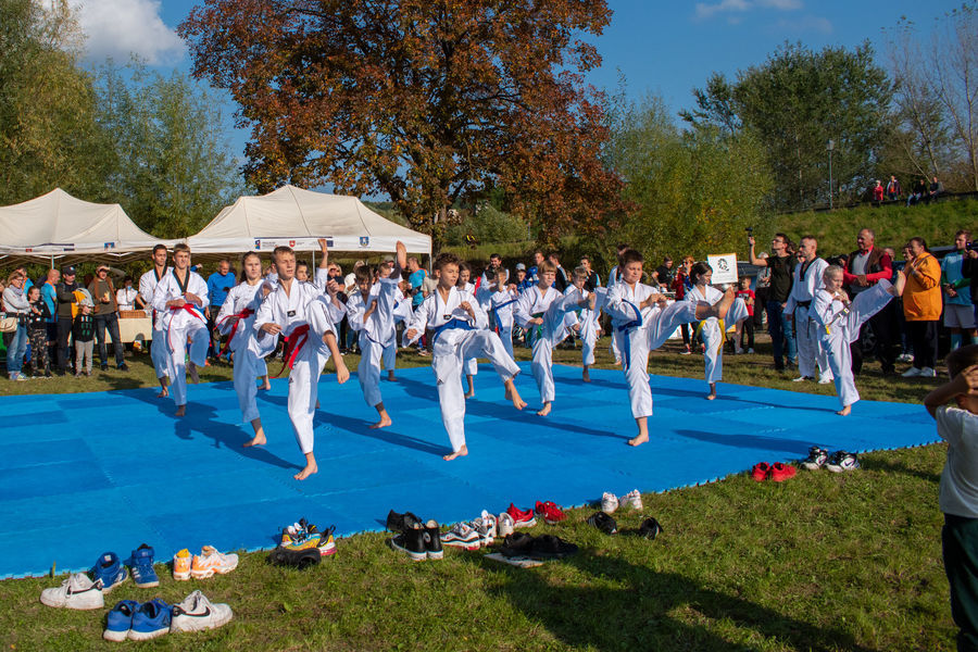 pokazy taekwondo