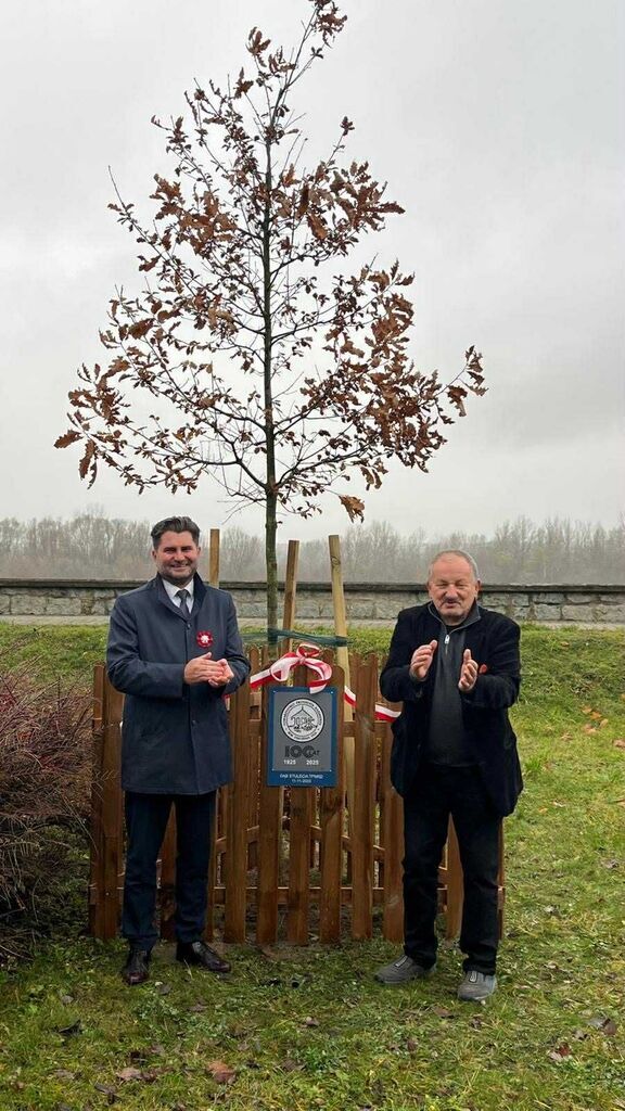 Obchody 107. rocznicy odzyskania niepodległości. Uroczyste nasadzenie dębu w rocznicę 100-lecia istnienia Stowarzyszenie Przyjaciół Miasta Kazimierza Dolnego