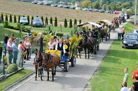 Święto Plonów – Rzuchów 2017