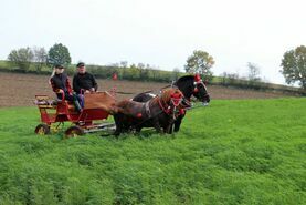 Piknik św. Huberta