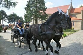 Procesja św. Urbana w Kobyli