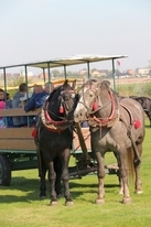 Piknik św. Huberta