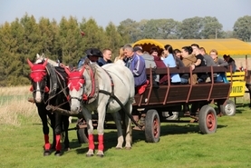 Piknik św. Huberta