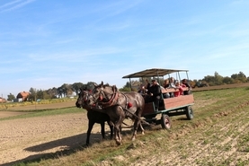 Piknik św. Huberta