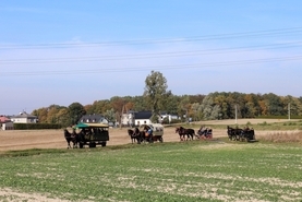 Piknik św. Huberta