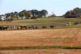 Piknik św. Huberta