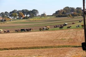 Piknik św. Huberta