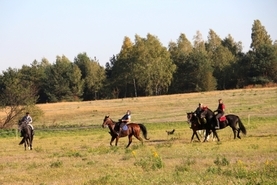 Piknik św. Huberta