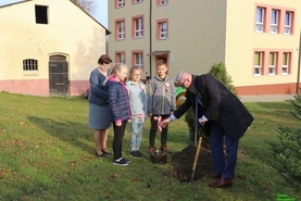 Cztery klony na 100 lecie Niepodległości