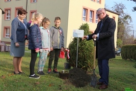 Cztery klony na 100 lecie Niepodległości