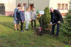 Cztery klony na 100 lecie Niepodległości