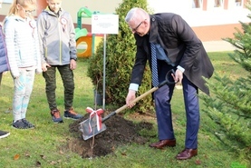 Cztery klony na 100 lecie Niepodległości