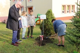 Cztery klony na 100 lecie Niepodległości