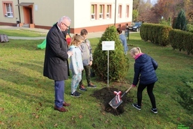 Cztery klony na 100 lecie Niepodległości