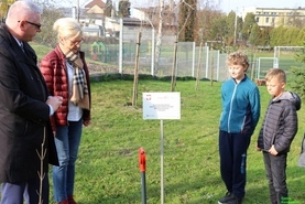 Cztery klony na 100 lecie Niepodległości