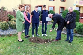 Cztery klony na 100 lecie Niepodległości