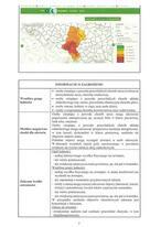 POZIOM 3 Powiadomienie o ryzyku wystąpienia przekroczenia poziomu informowania dla pyłu zawieszonego PM 10 w powietrzu