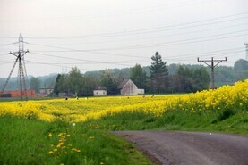 Przez Gminę Kornowac na rowerach