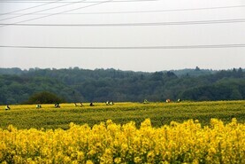 Przez Gminę Kornowac na rowerach