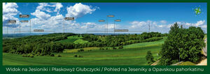 Widok panoramy z wieży widokowej