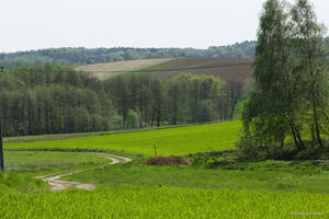 Bociek - kwiecień 2024