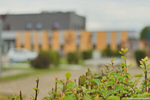 2025-07-11 Nowe CKiB