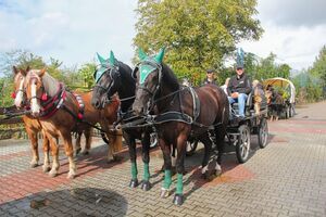 2025-09-14 Dożynki Gminy Kornowac w Pogrzebieniu
