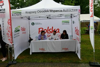 Piknik z Produktem Polskim w Krasnymstawie - Bitwa Regionów