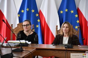 Rada budowy przeprawy mostowej