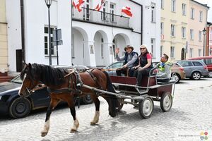 II Majowa Parada Zaprzęgów i Jeźdźców - Krasnystaw 2025