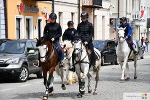 II Majowa Parada Zaprzęgów i Jeźdźców - Krasnystaw 2025