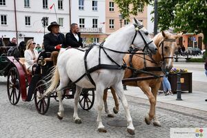 II Majowa Parada Zaprzęgów i Jeźdźców - Krasnystaw 2025
