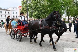 II Majowa Parada Zaprzęgów i Jeźdźców - Krasnystaw 2025