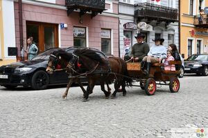 II Majowa Parada Zaprzęgów i Jeźdźców - Krasnystaw 2025
