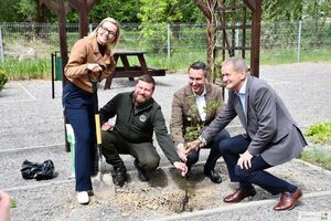 Przekazanie miastu sadzonek buka przez Zespół Lubelskich Parków Krajobrazowych