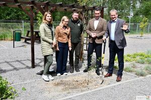 Przekazanie miastu sadzonek buka przez Zespół Lubelskich Parków Krajobrazowych
