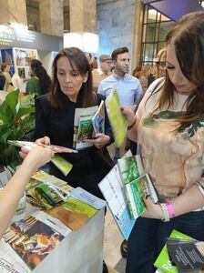 Krasnystaw, Kraszczady i Chmielaki na ITTF Warsaw 2025