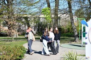 Obchody Dnia Ziemi w Krasnymstawie 2026. Zasadzenie klonu palmowego