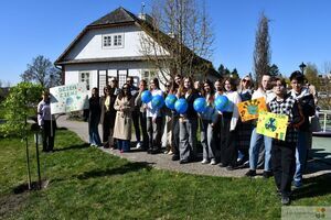 Obchody Dnia Ziemi w Krasnymstawie 2026. Zasadzenie klonu palmowego