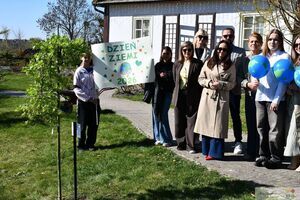 Obchody Dnia Ziemi w Krasnymstawie 2026. Zasadzenie klonu palmowego