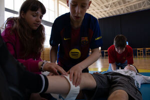 Bezpieczeństwo w ruchu drogowym