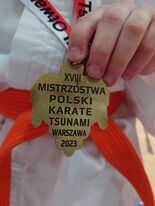 Mistrzostwa Polski Karate Tsunami: Gmina Krośniewice