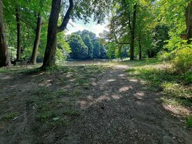Porządkowanie Parku w Krośniewicach!: Gmina Krośniewice