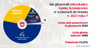 Infografika dotycząca głosowania w wyborach do Senatu - informacje zawarte w treści artykułu